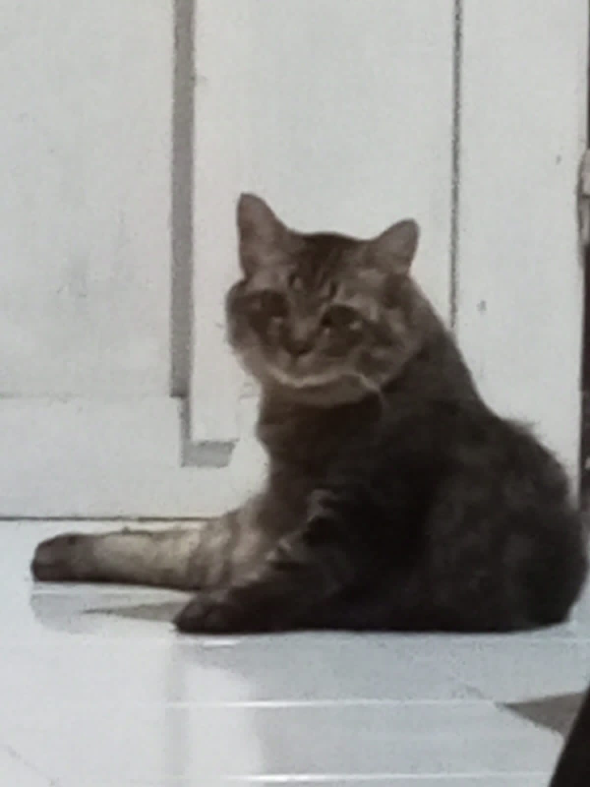 Foto Muhammad Fariz Abdul Jabbar Arif